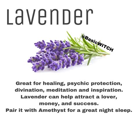 The Enchanting Scent of Lavender: How it Can Transform Your Magical Rituals